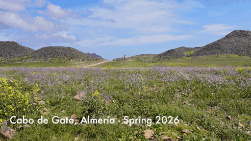 Cabo de Gata slow film