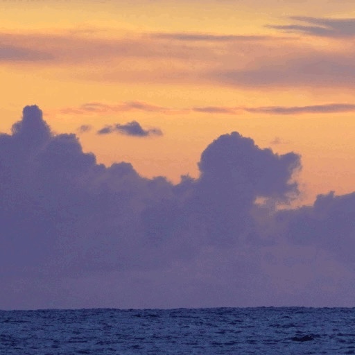 Nature stock preview